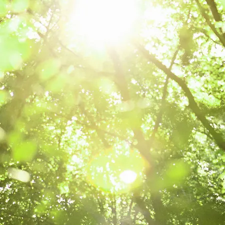 Borghese, The Originals Relais Hotel Gréoux-les-Bains