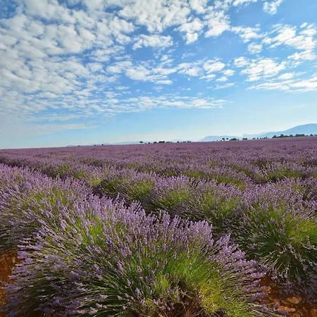 Hotel Borghese, The Originals Relais Gréoux-les-Bains