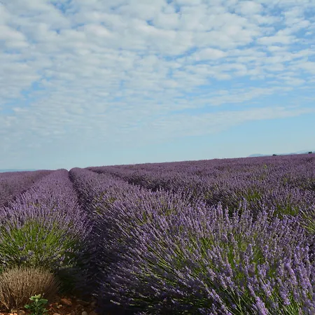 Borghese, The Originals Relais 4*