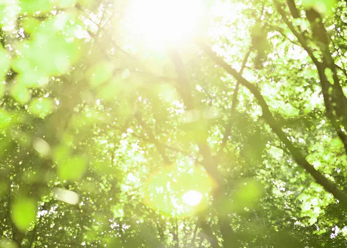 Borghese, The Originals Relais Hotel Gréoux-les-Bains