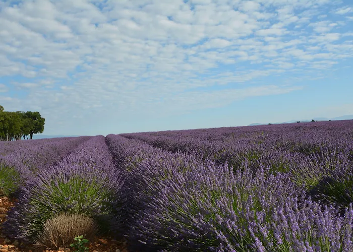 Borghese, The Originals Relais 4*