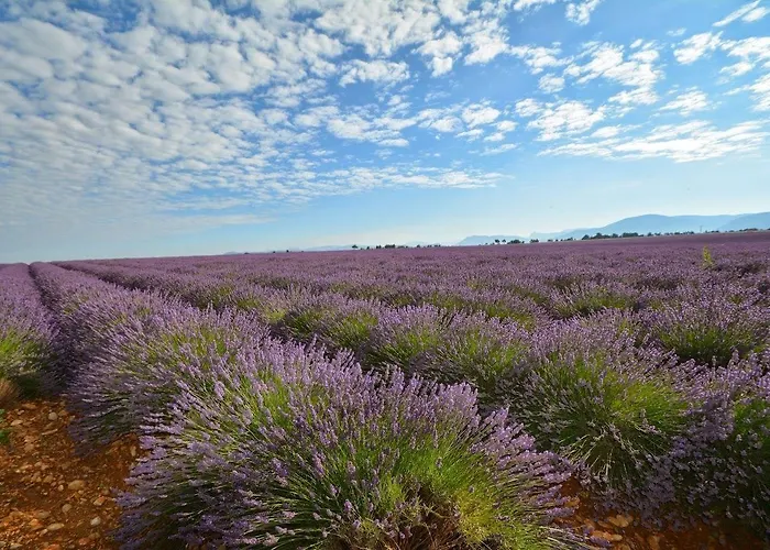 Hotel Borghese, The Originals Relais Gréoux-les-Bains